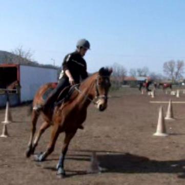 Concours Equifun Le6 Mars 20O7